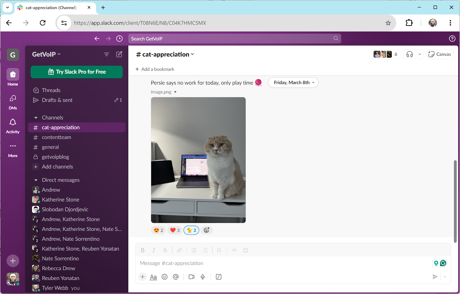 How we use Slack at GetVoIP