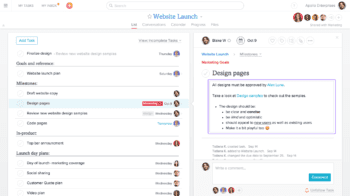 Asana Detailed Task Overview