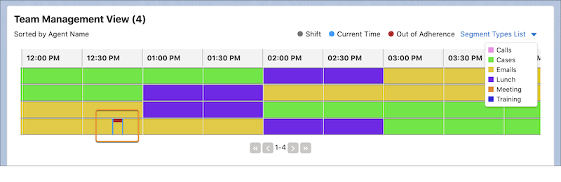 Salesforce Agent Adherence