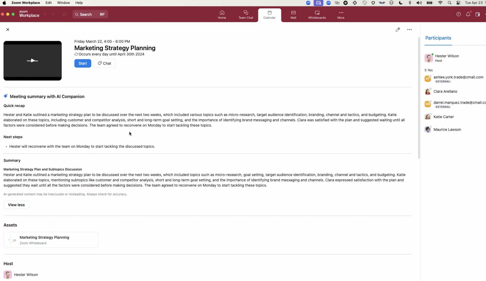 zoom meetings summary ai companion