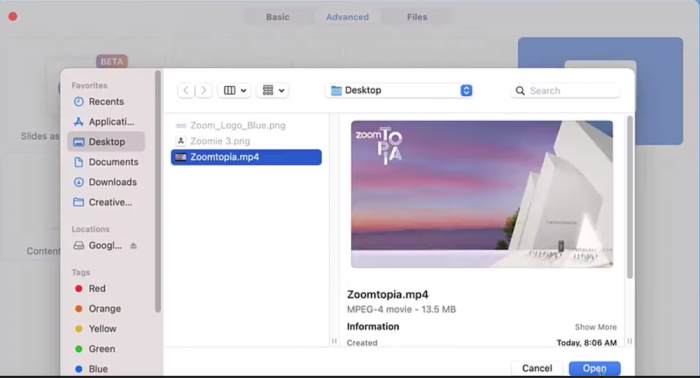 zoom screen share